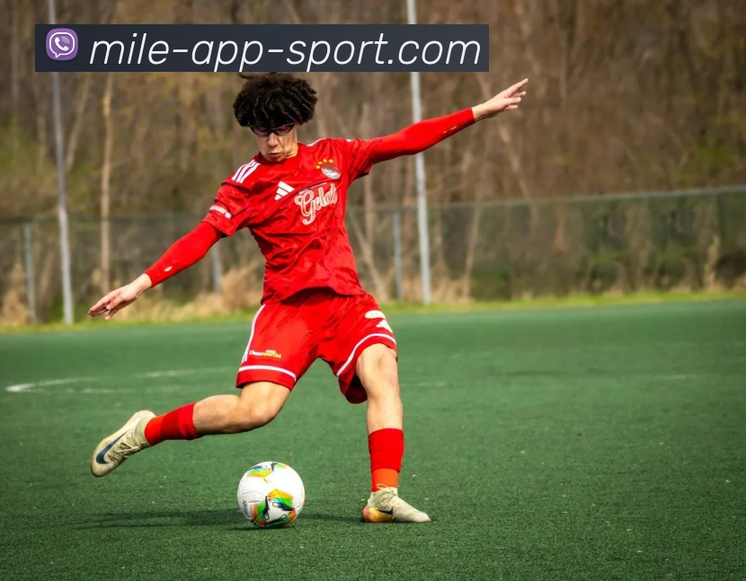 米乐体育APP 高清赛事图